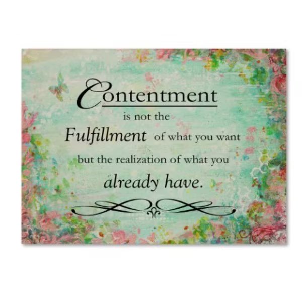 Janelle Nichol 'Contentment (floral theme)' Canvas Art, 18x24, Trademark Fine Art, Mfr#: ALI13038-C1824GG